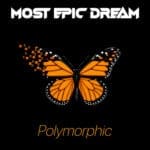 Polymorphic Album Cover